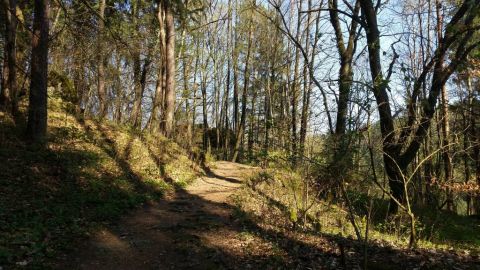 20170409_164227.jpg