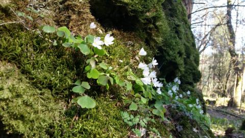 20170409_164349.jpg